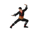 Thumbnail Martial Artist